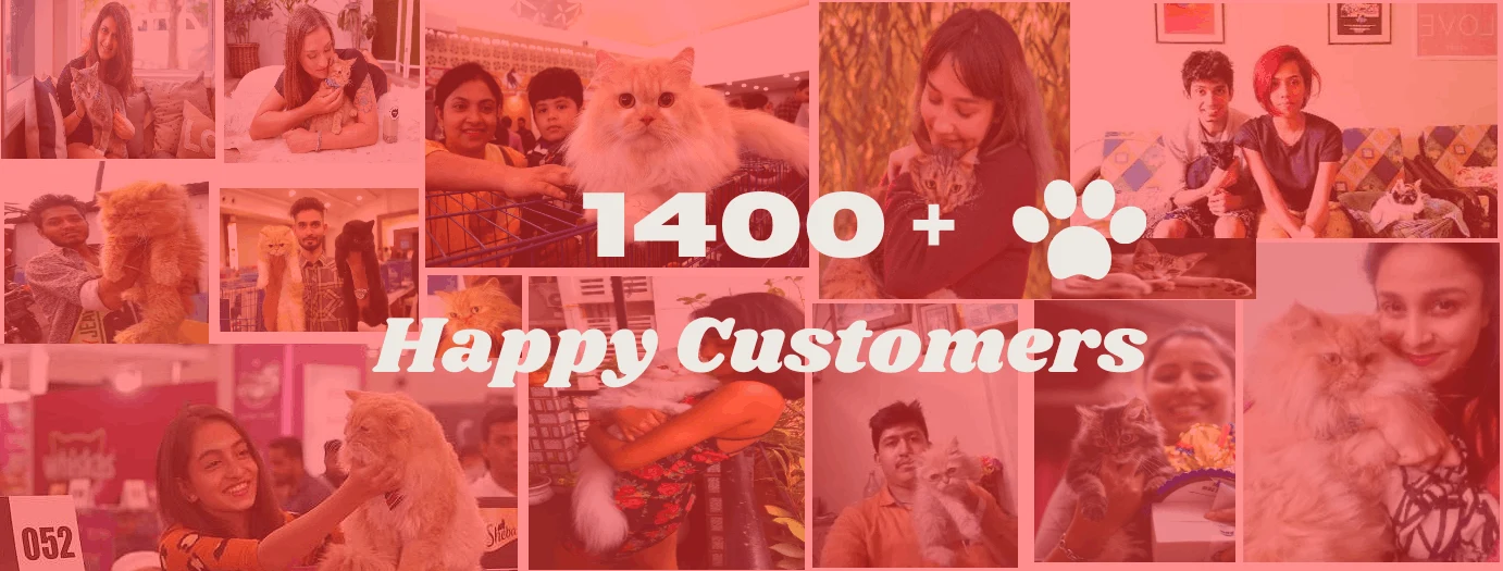 Happy customer